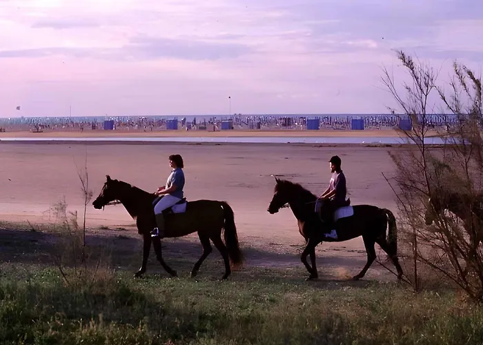 In 37158 Apartment *