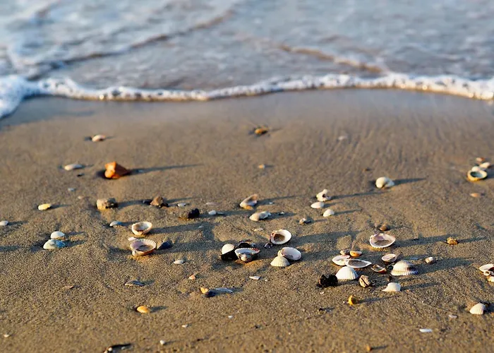 In 37158 Apartment Bibione